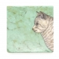 Preview: Katze - Sale - B Ware