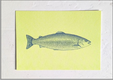 Fisch 2 - Federal-Blue auf Light-Lime