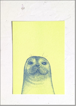 Robbe - Federal-Blue auf Light-Lime