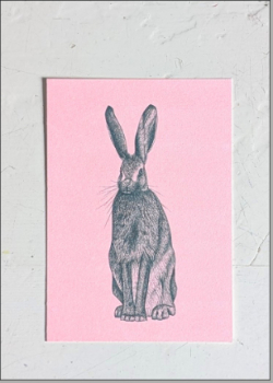 Hase - Hunter-Green auf Fluo-Red