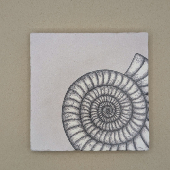 Fliese - Ammonite