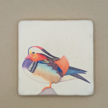 Fliese - Mandarinente