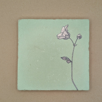 Fliese - Storchenschnabel