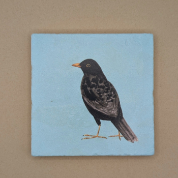 Fliese - Amsel blau