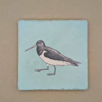 Fliese - Austernfischer