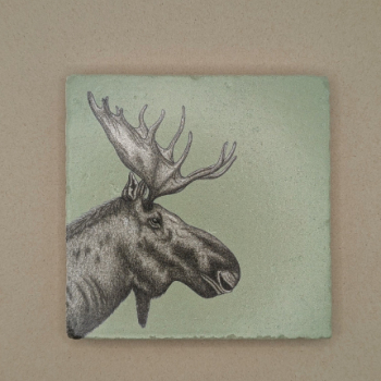 Fliese - Elch
