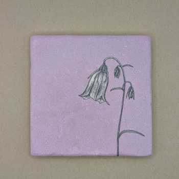 Fliese - Glockenblume