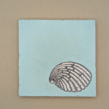 Fliese - Herzmuschel