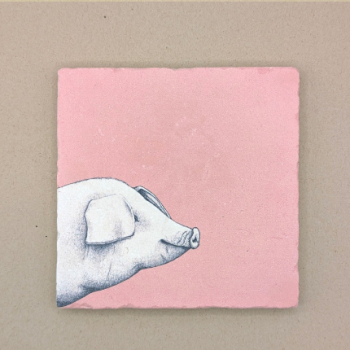 Fliese - Schwein