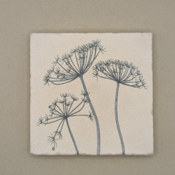 Fliese - Wiesenbärenklau