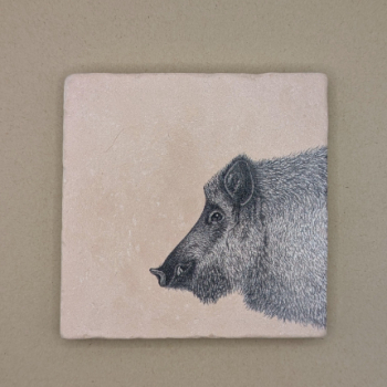 Fliese - Wildschwein