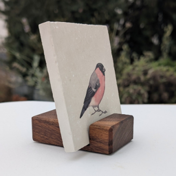 Preview: Fliesenständer (Nussbaum)