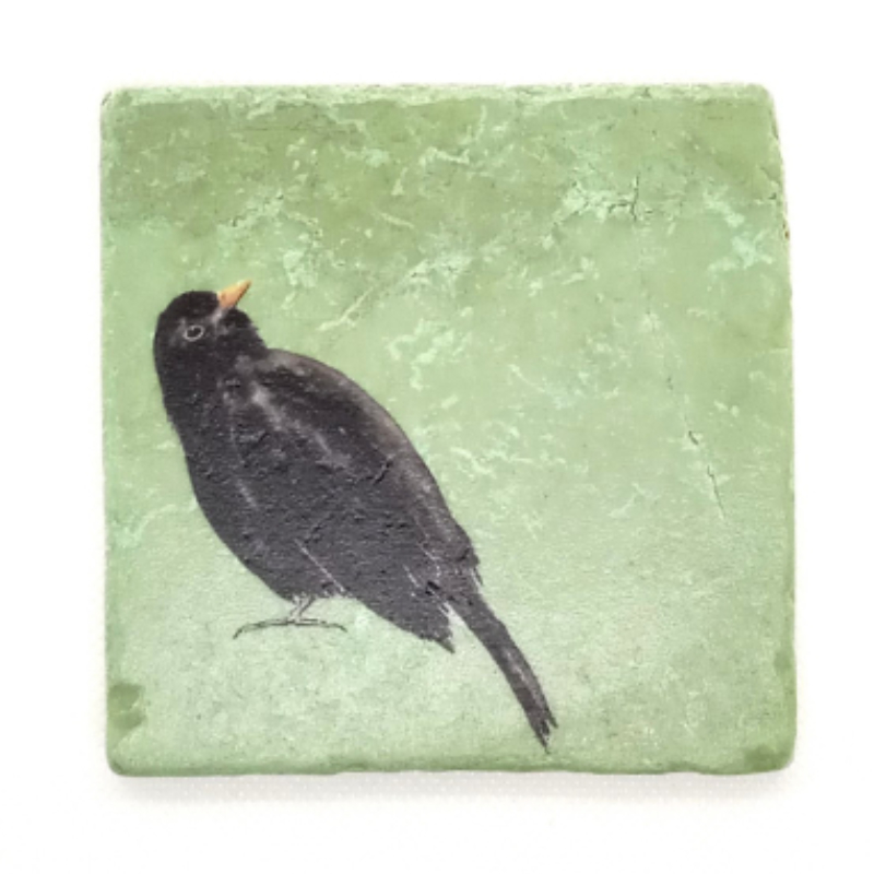 ask a duck - Illustration + Grafikdesign - Amsel grün