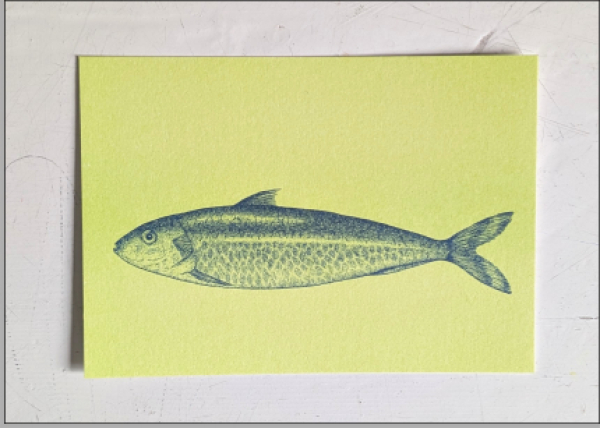 Fisch 1 - Federal-Blue auf Light-Lime