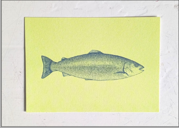 Fisch 2 - Federal-Blue auf Light-Lime
