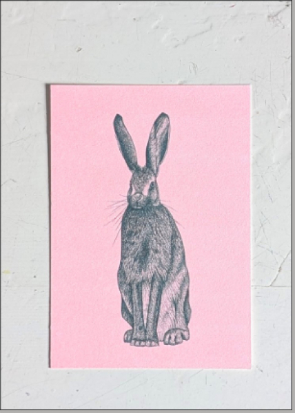 Hase - Hunter-Green auf Fluo-Red