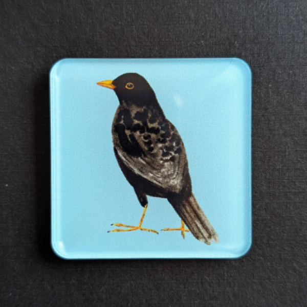 Acrylglasmagnet - Amsel