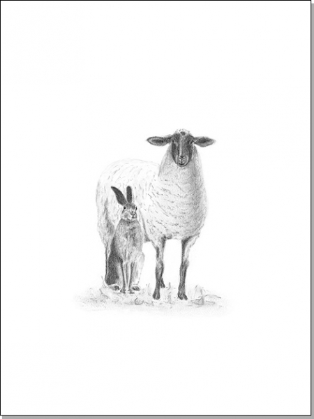 Schaf mit Hase