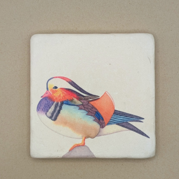 Fliese - Mandarinente