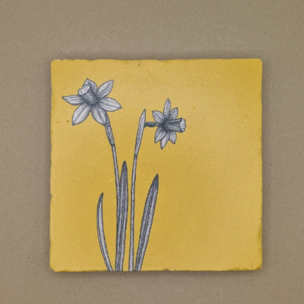 Fliese - Narzissen