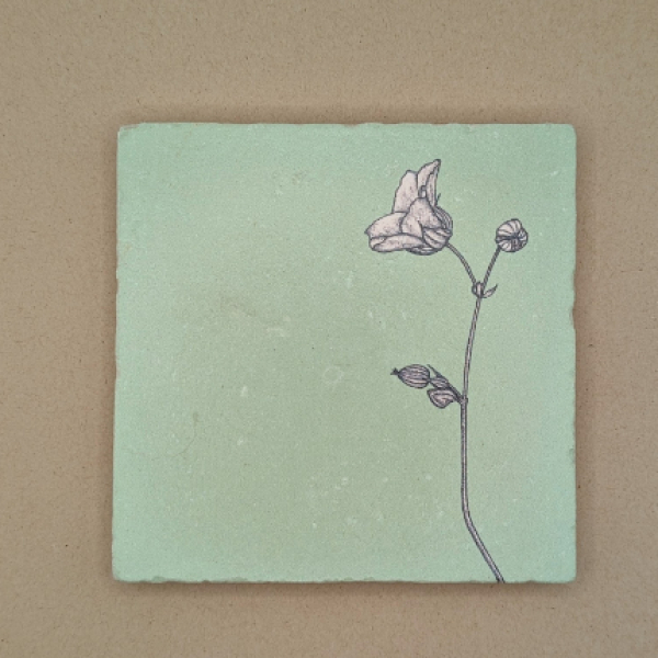 Fliese - Storchenschnabel