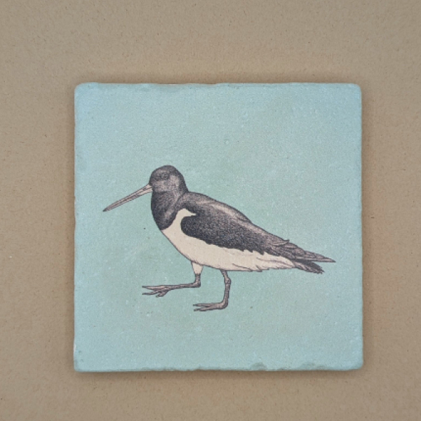 Fliese - Austernfischer