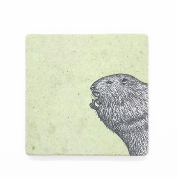 Tile - Beaver