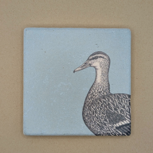 Fliese - Duck