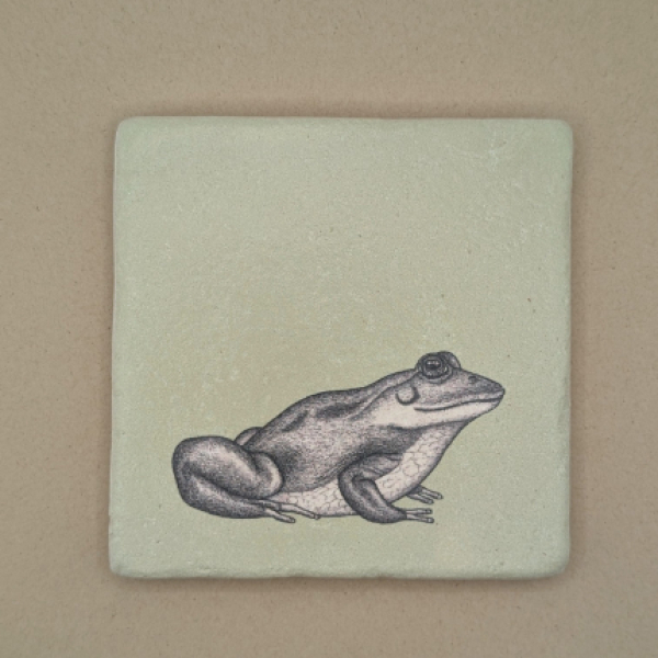 Fliese - Frosch