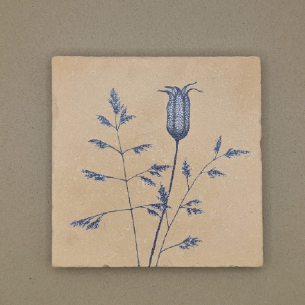 Fliese - Kapsel und Gräser