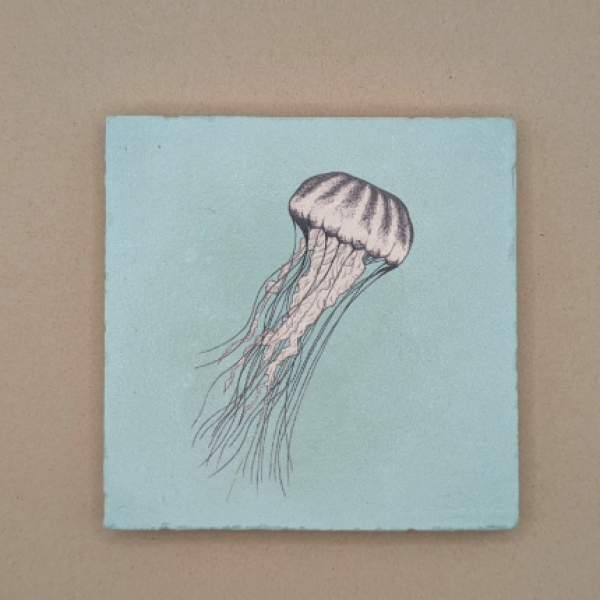 Fliese - Qualle