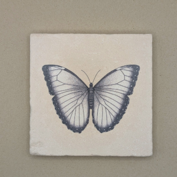 Fliese - Schmetterling
