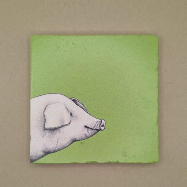 Fliese - Schwein