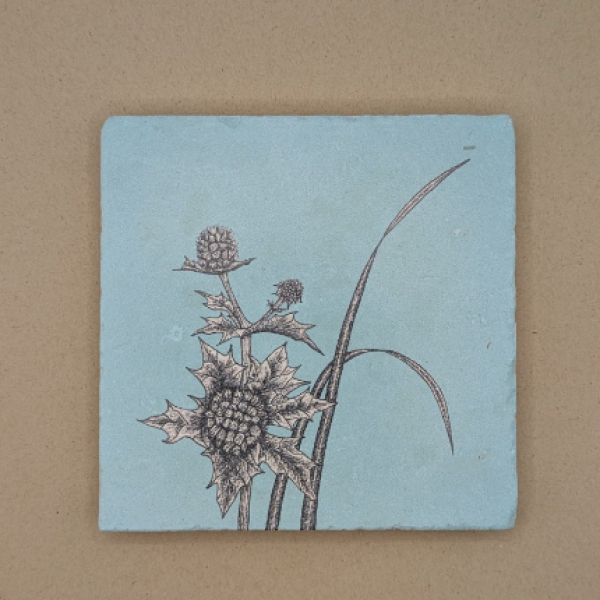 Fliese - Stranddistel