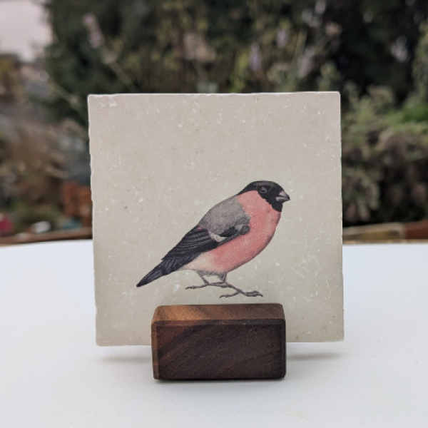 Fliesenständer (Nussbaum)